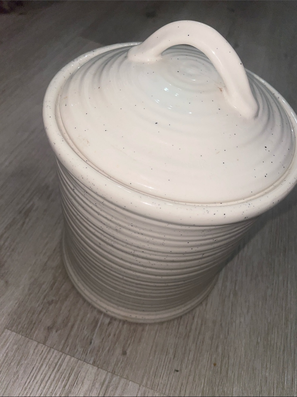 Vintage All-Purpose Stoneware Canister with Lid | Speckled Cream | 7” Diameter
